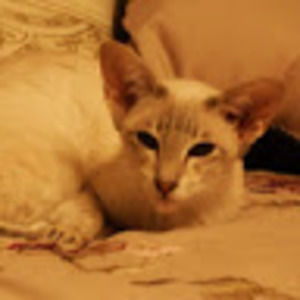 Meet your Posher, Brenda